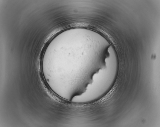 X0000096431034200802211142