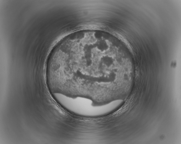 X0000096431035200802211142