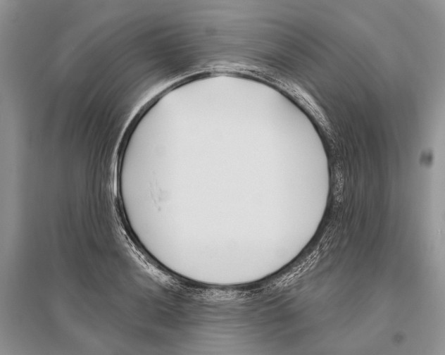 X0000096431036200802211142