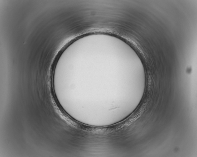 X0000096431038200802211142