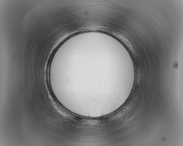 X0000096431039200802211142