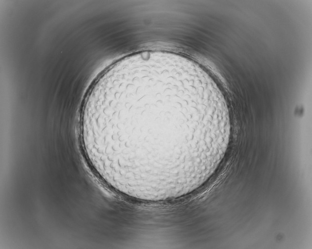 X0000096431040200802211142