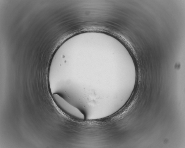 X0000096431041200802211142