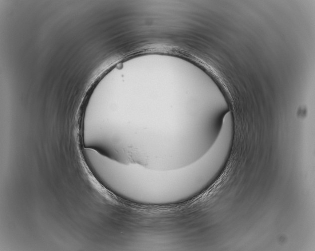 X0000096431042200802211142