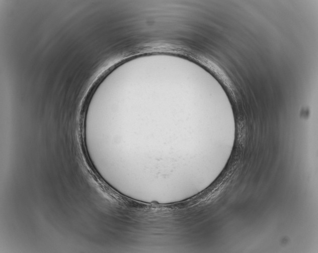 X0000096431043200802211142