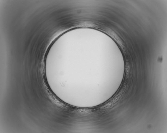 X0000096431044200802211142