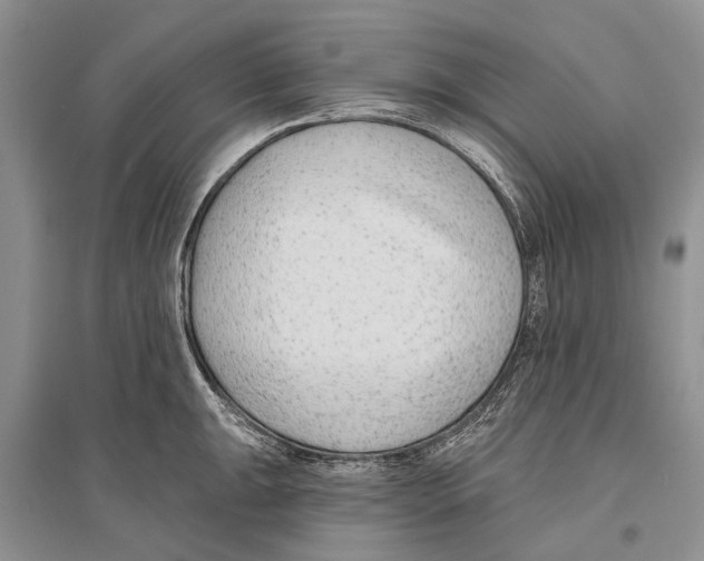 X0000096431047200802211142