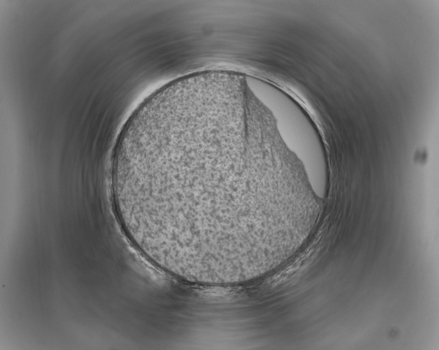 X0000096431048200802211142