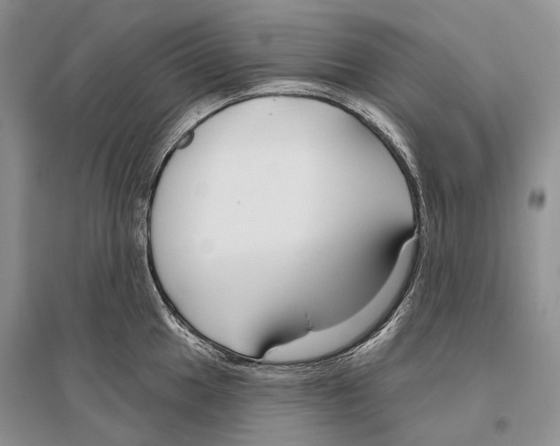 X0000096431049200802211142