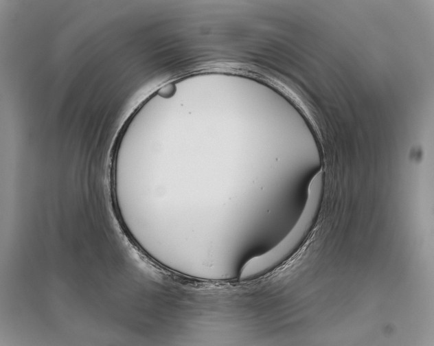 X0000096431050200802211142