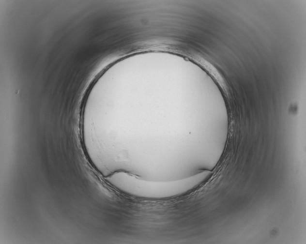 X0000096431051200802211143