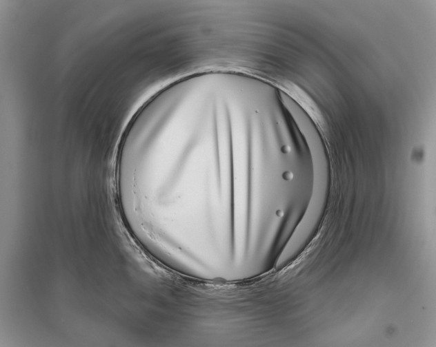 X0000096431052200802211143