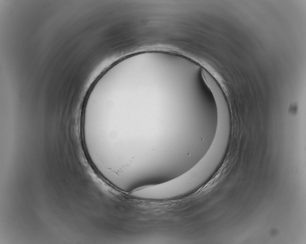 X0000096431054200802211143