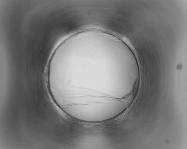 X0000096431056200802211143