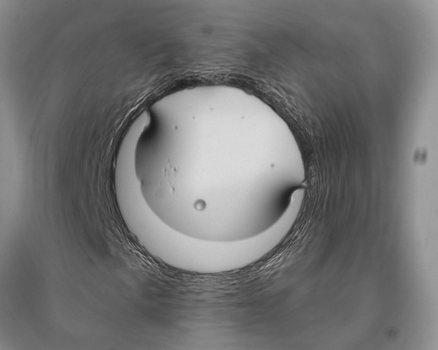 X0000096431057200802211142