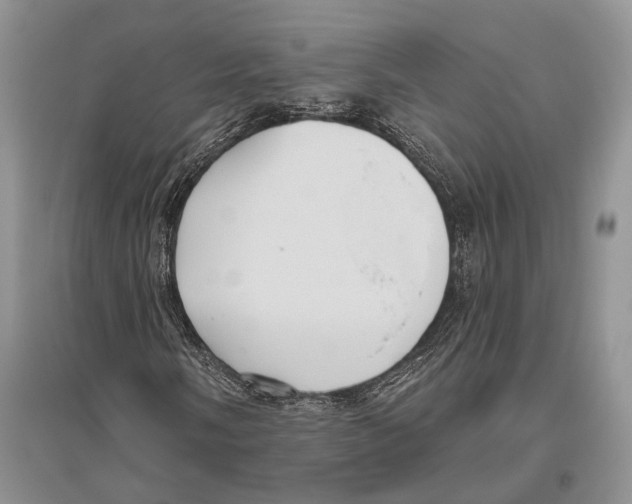 X0000096431058200802211142