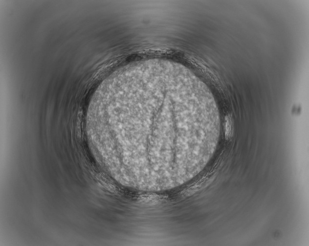 X0000096431059200802211141