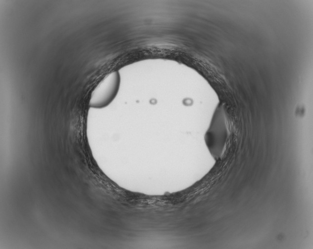 X0000096431061200802211141