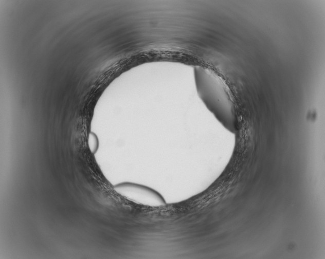 X0000096431062200802211141