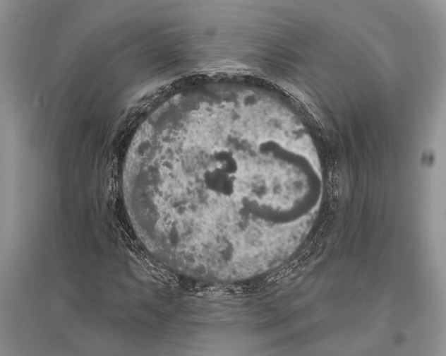 X0000096431063200802211141