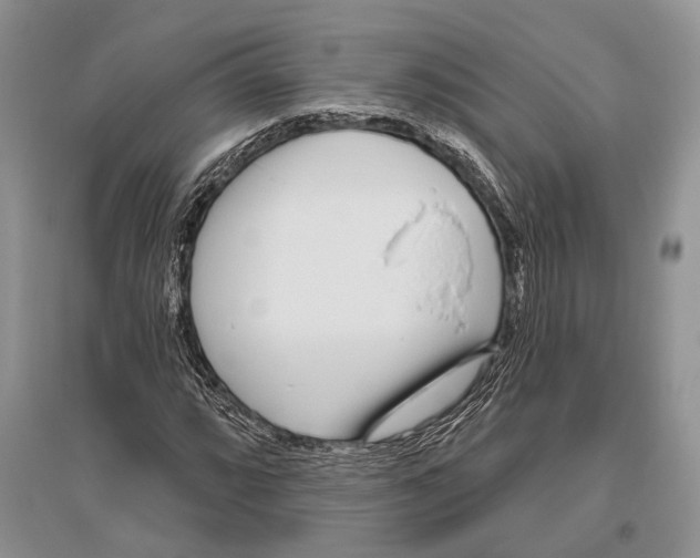 X0000096431064200802211141