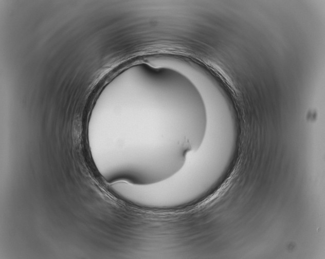 X0000096431065200802211141