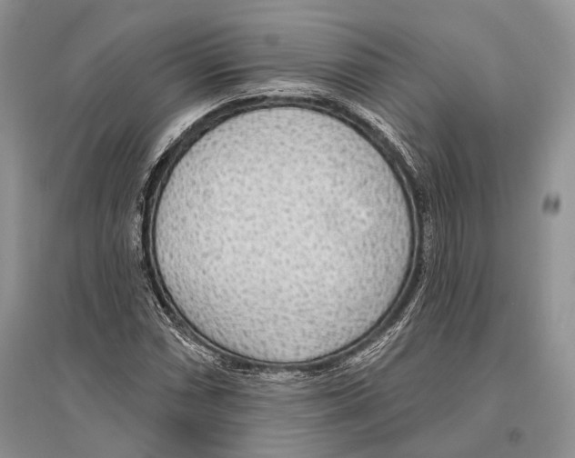 X0000096431066200802211141
