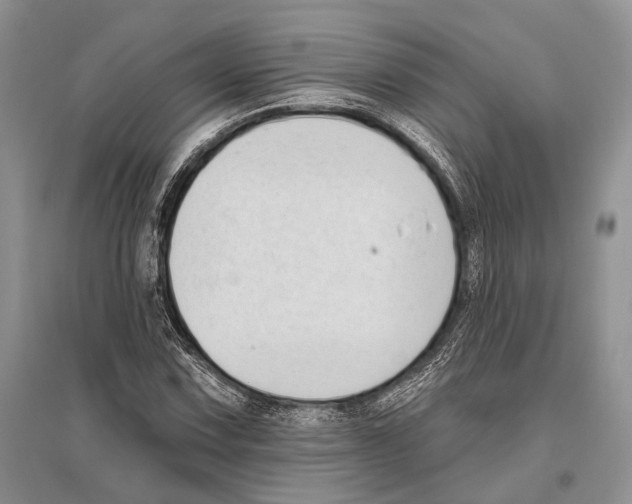 X0000096431067200802211141