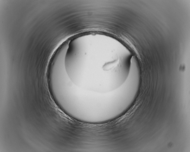 X0000096431068200802211141