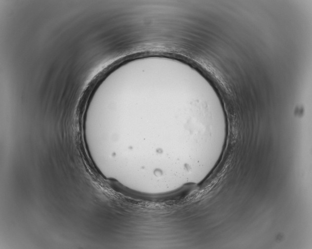 X0000096431070200802211141