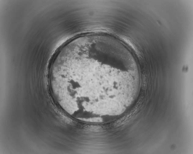 X0000096431071200802211141