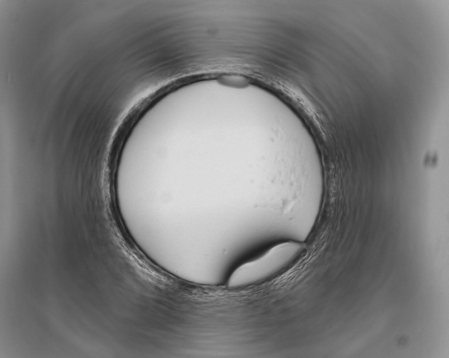 X0000096431072200802211141