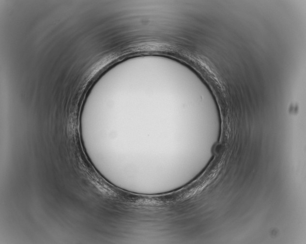 X0000096431073200802211141