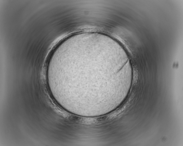 X0000096431074200802211141