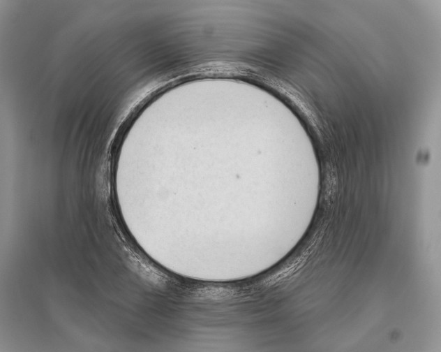 X0000096431075200802211141
