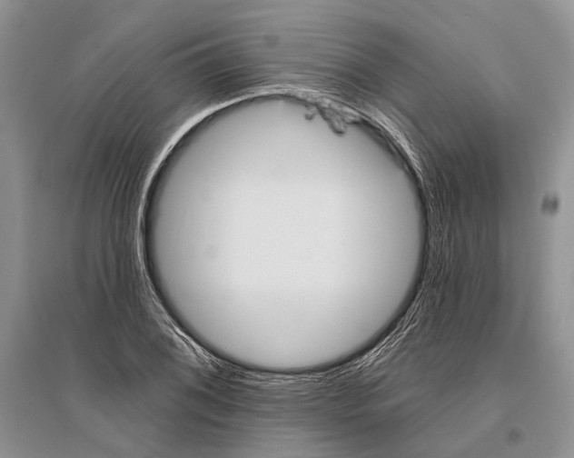 X0000096431076200802211141