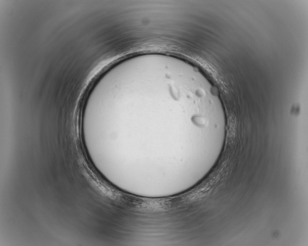 X0000096431078200802211141
