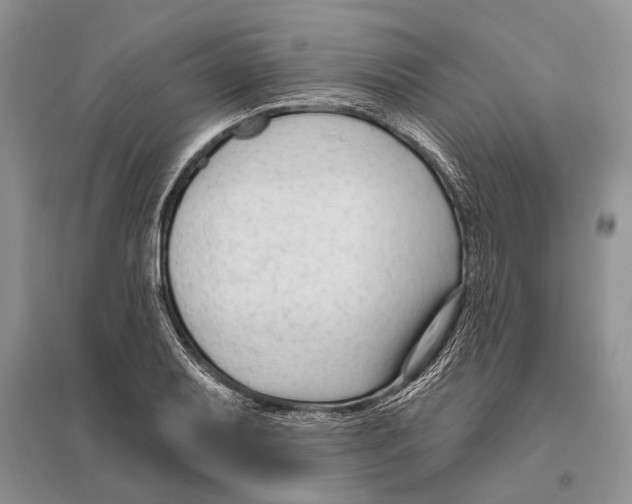 X0000096431079200802211141