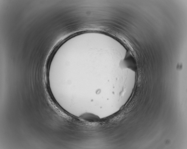 X0000096431080200802211141