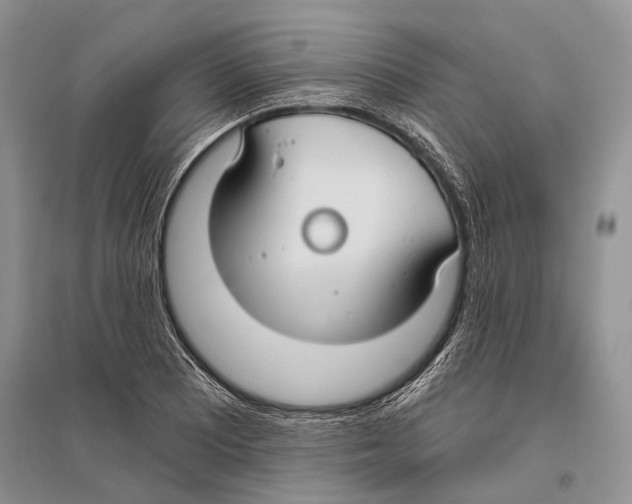 X0000096431081200802211141