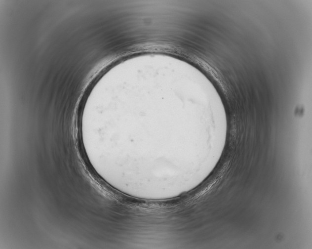 X0000096431082200802211141