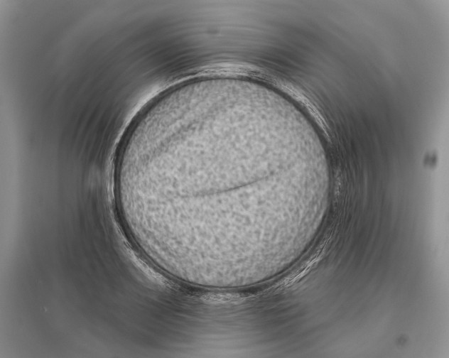 X0000096431083200802211141
