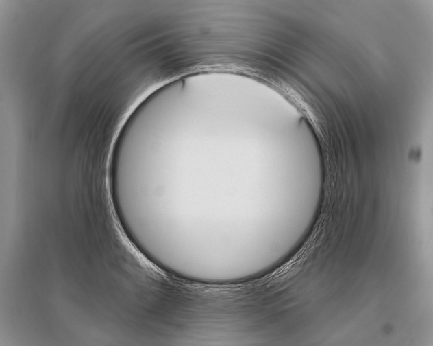 X0000096431084200802211141