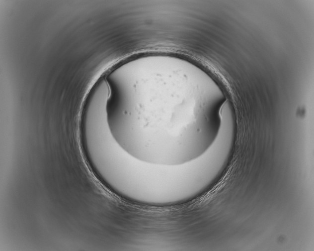 X0000096431085200802211141