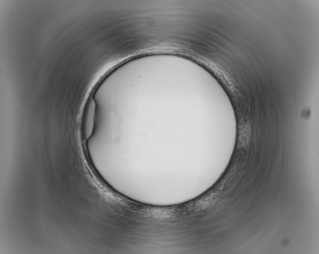 X0000096431086200802211141
