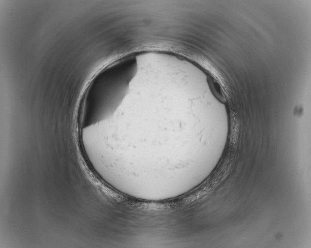 X0000096431088200802211141
