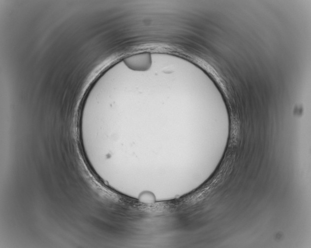 X0000096431090200802211141
