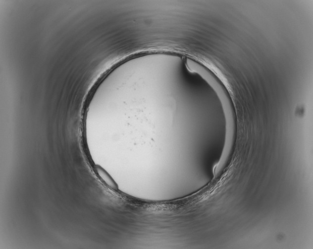 X0000096431093200802211141