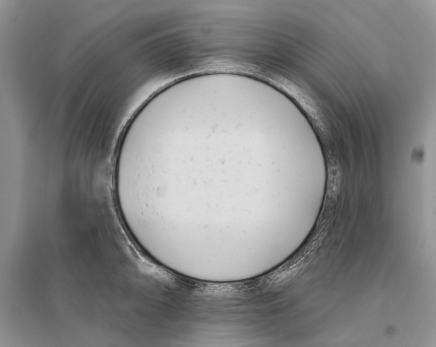 X0000096431094200802211141