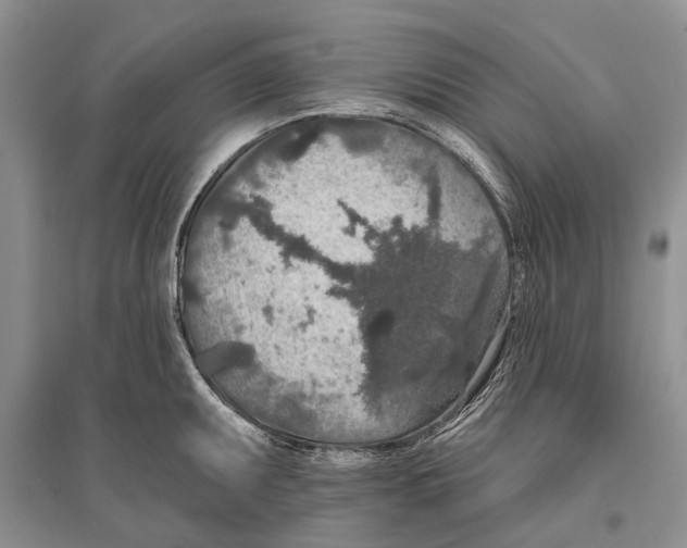 X0000096431095200802211141